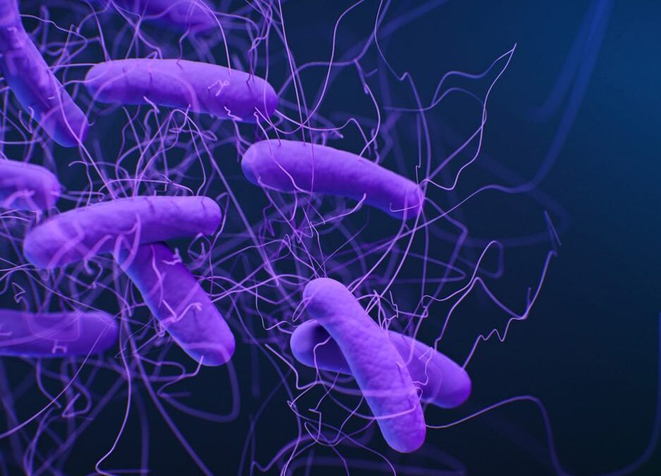 The gut microbiota’s link to autoimmune disease, cancer, and Covid-19