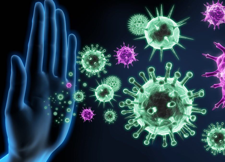 How the immune system responds to foreign invaders